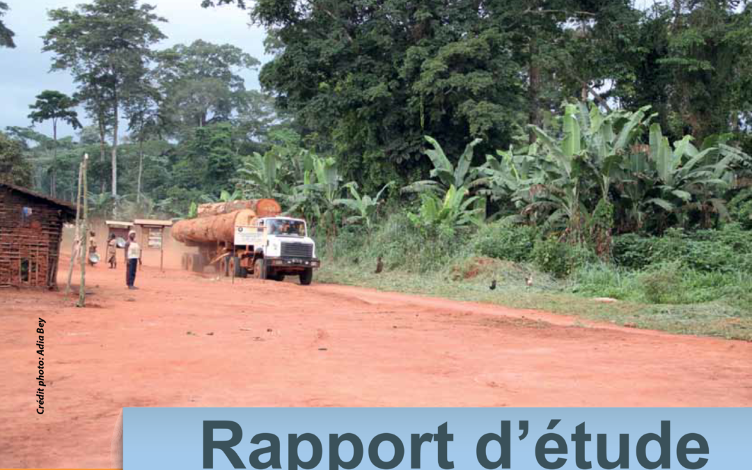 FLEGT, REDD+ et droits des communautés aux forêts et à la terre en Afrique : leçons apprises et perspectives