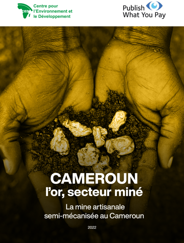 CAMEROUN, l’Or secteur miné