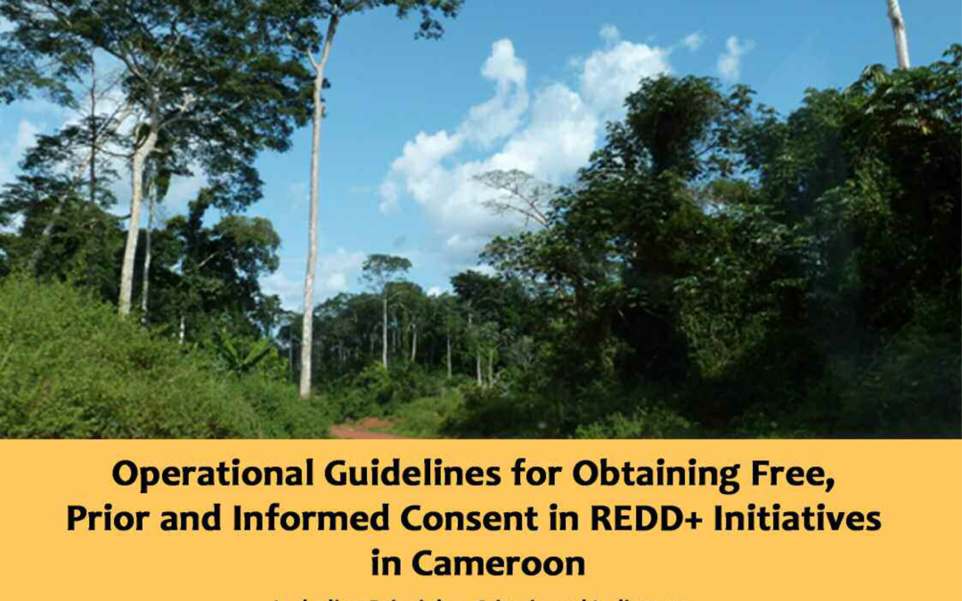 Directives Nationales pour l’obtention d’un Consentement Libre, Informé et Préalable (CLIP) dans le cadre du REDD+ au Cameroun