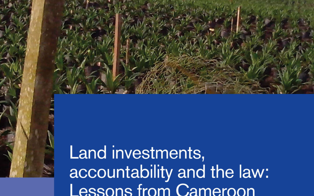 Land investments,accountability and the law:Lessons from Cameroon