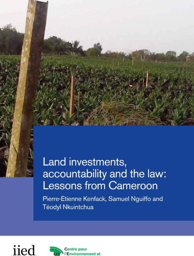 Land investments,accountability and the law:Lessons from Cameroon