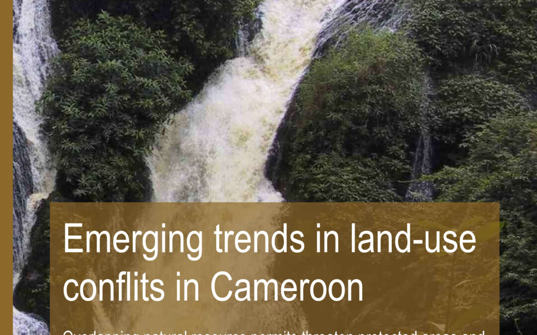 Emerging trends in land-useconflits in Cameroon