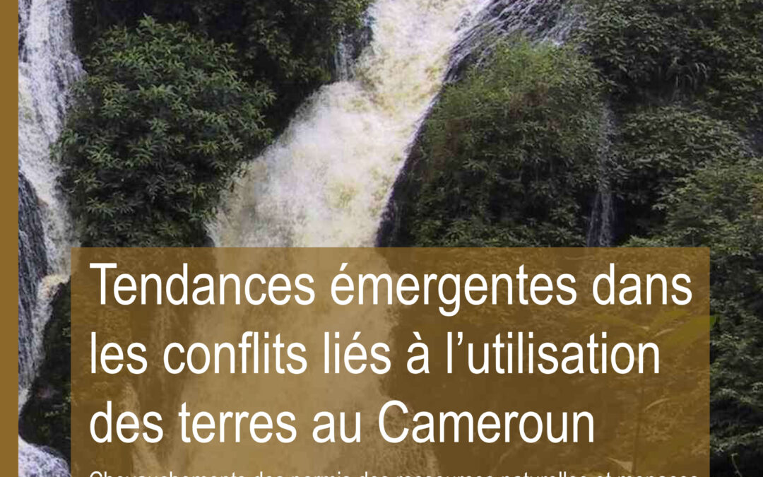 Tendances émergentes dansles conflits liés à l’utilisationdes terres au Cameroun