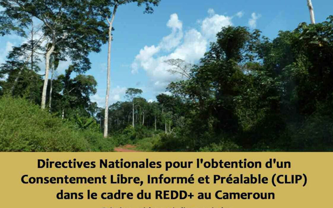 Directives Nationales pour l’obtention d’unConsentement Libre, Informé et Préalable (CLIP)dans le cadre du REDD+ au Cameroun