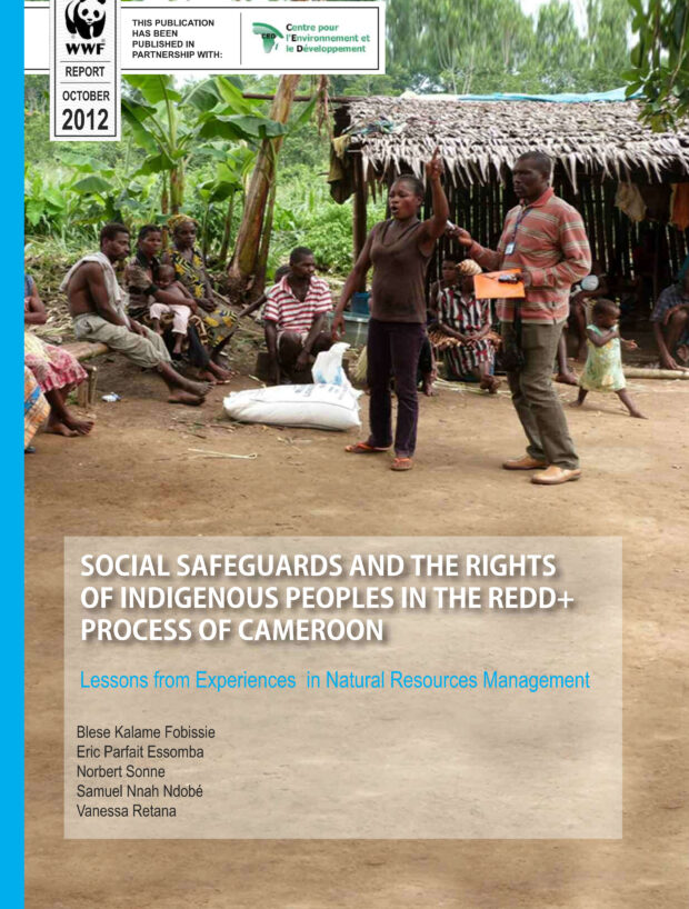 SOCIAL SAFEGUARDS AND THE RIGHTS OF INDIGENOUS PEOPLES IN THE REDD+ PROCESS OF CAMEROON