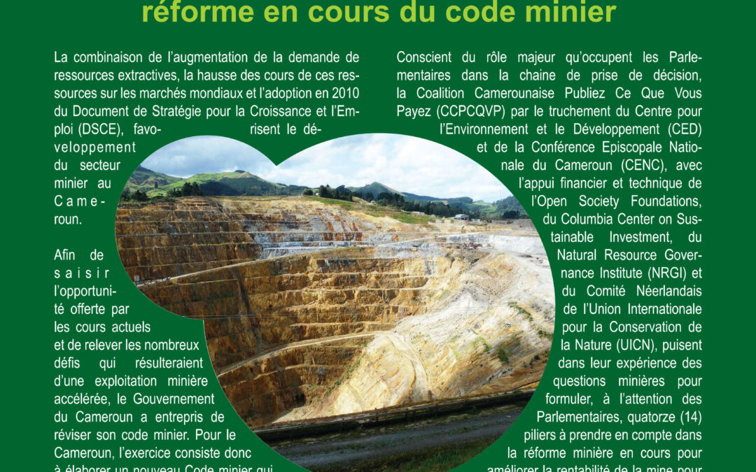 Comment améliorer la rentabilité de la mine pour l’économie du Cameroun : 14 piliers à prendre en compte dans la réforme en cours du code minier