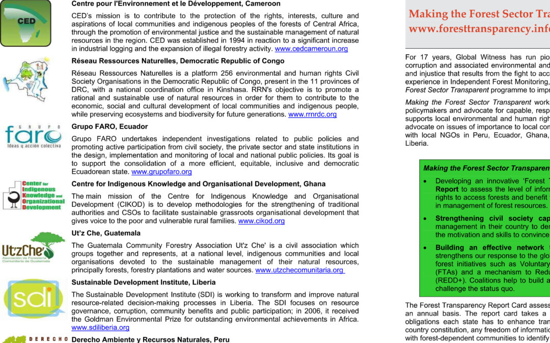 Making the Forest Sector Transparent