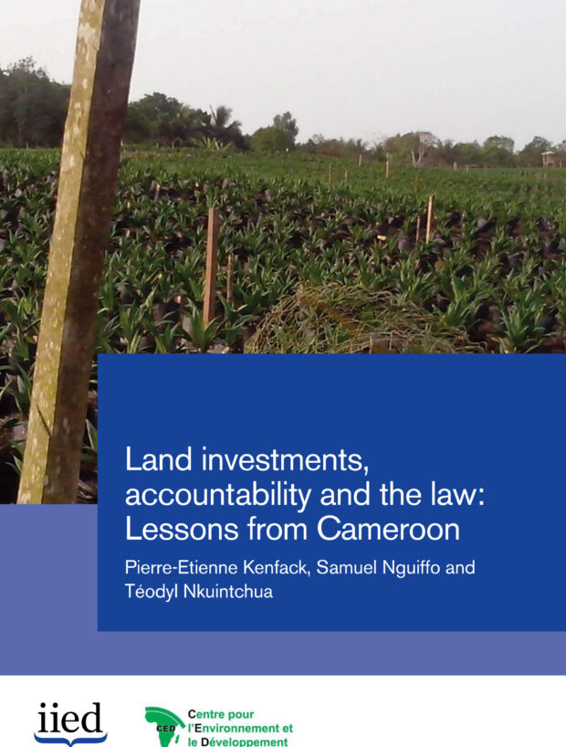 Land investments,accountability and the law:Lessons from Cameroon