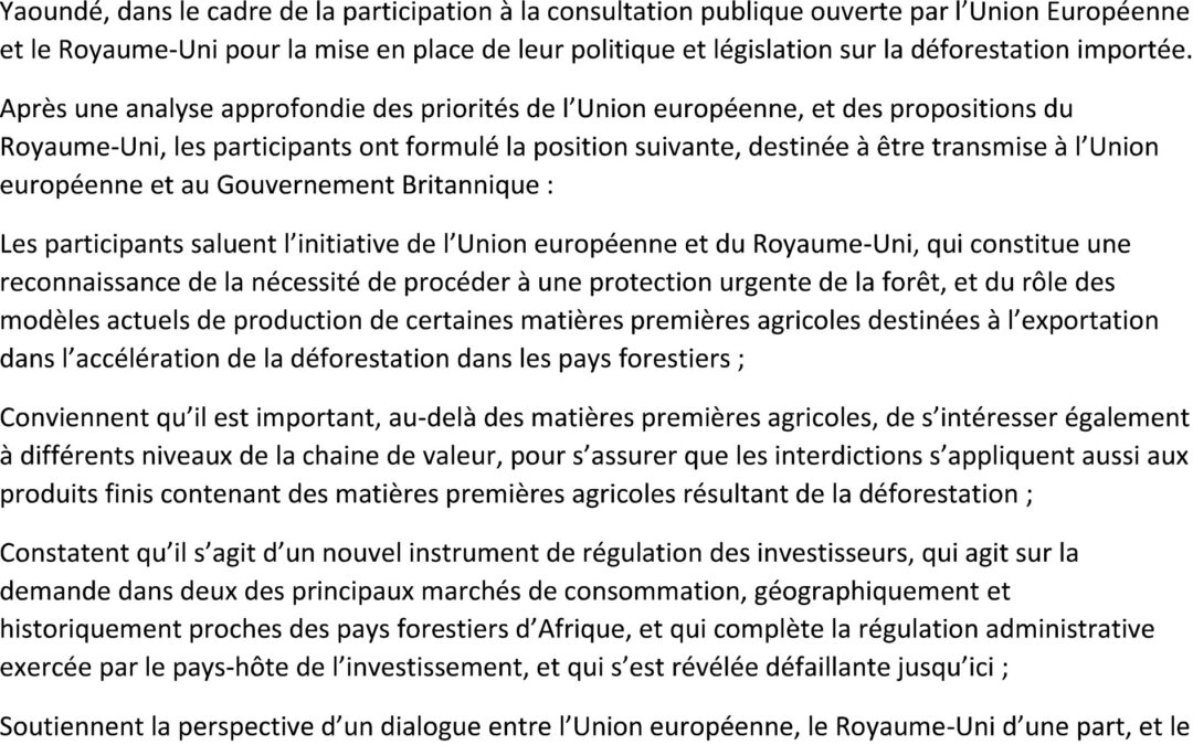 Position de la Plateforme Forêts et Communautés sur les propositions de l’Union Européenne et du Royaume-Uni en matière de déforestation importée