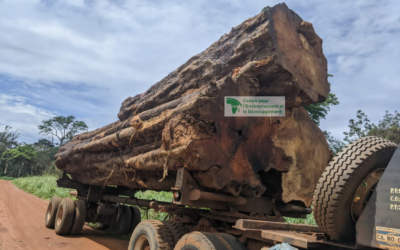 Diagnostic et cartographie des postes de contrôle forestier et de chasse de l’Est du Cameroun par le CED en collaboration avec le MINFOF 